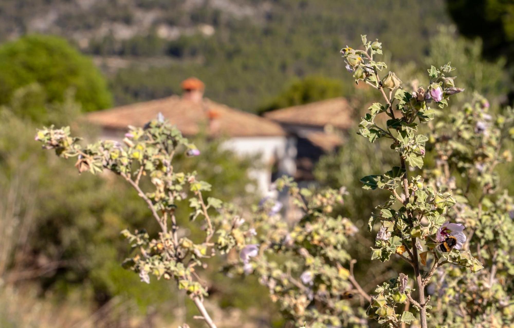 Eco Hotel Con Encanto Masia La Mota B&B Alcoy Esterno foto